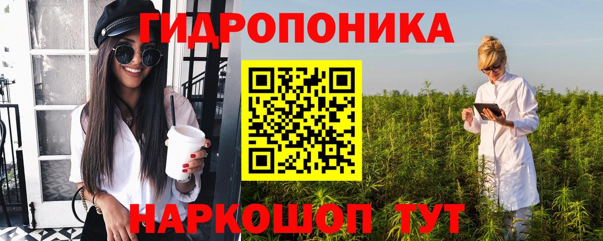 Бошки Шишки планчик Усть-Кут